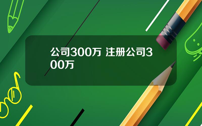 公司300万 注册公司300万